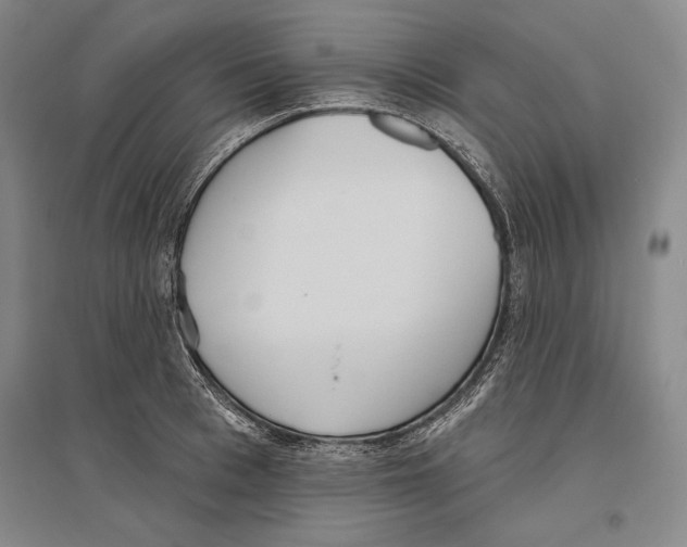 X0000096630993200803041100