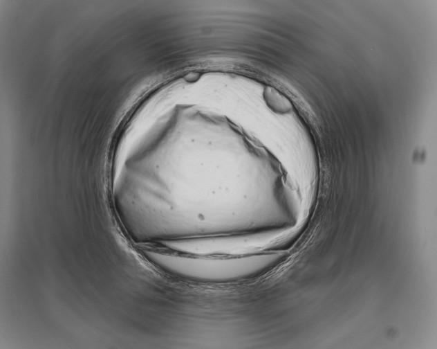 X0000096630994200803041100