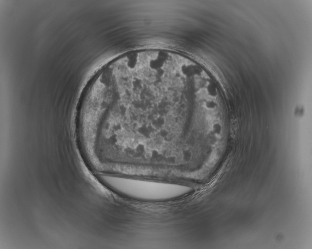 X0000096630995200803041100