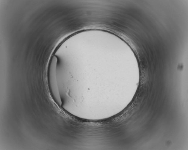 X0000096630996200803041100