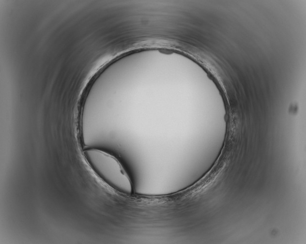 X0000096630997200803041100