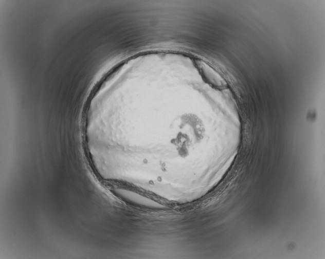 X0000096630998200803041100