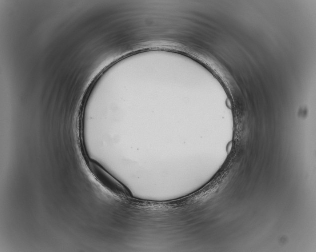 X0000096630999200803041100