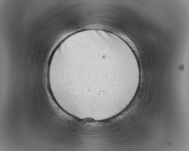 X0000096631000200803041100