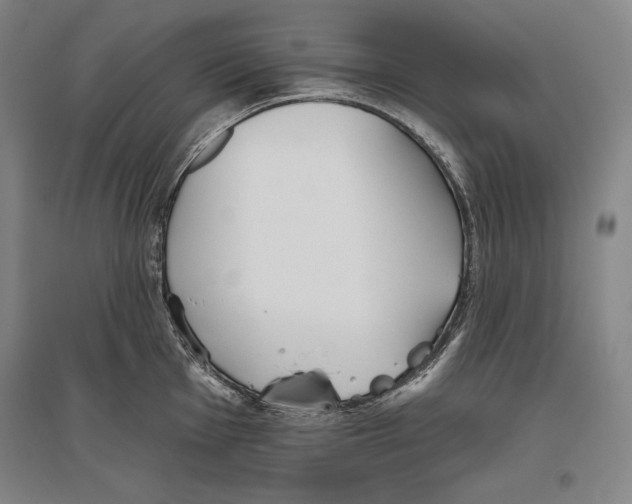 X0000096631001200803041100