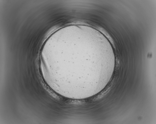 X0000096631002200803041100