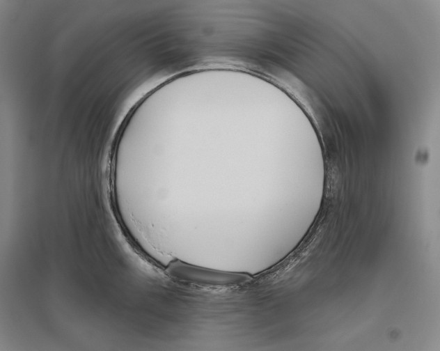 X0000096631003200803041100