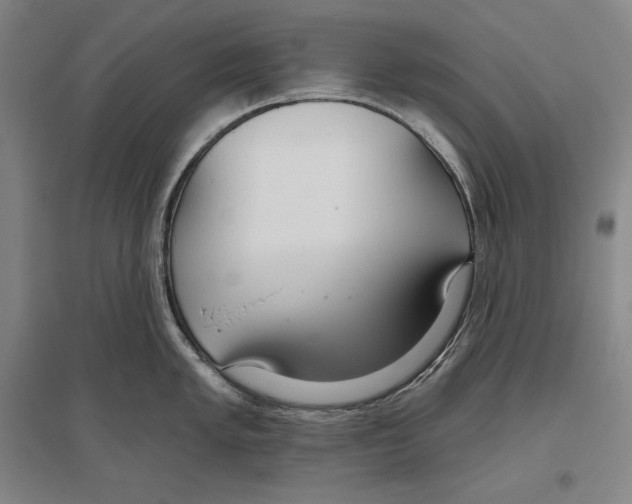 X0000096631005200803041100