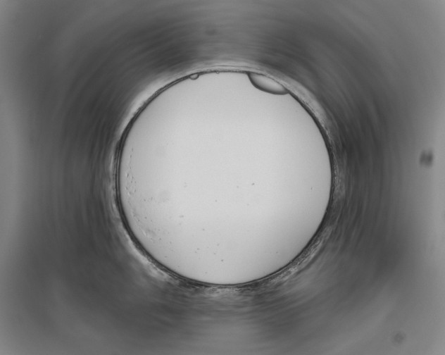 X0000096631006200803041100