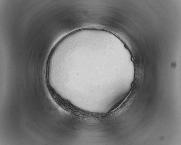 X0000096631007200803041100