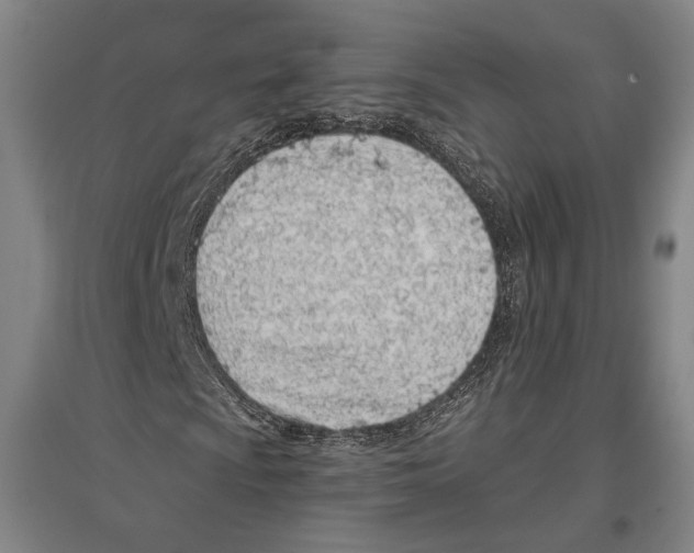 X0000096631009200803041059