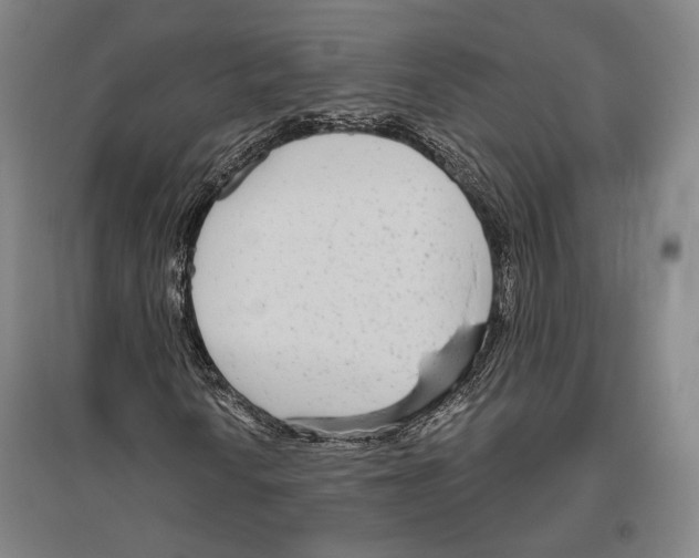 X0000096631010200803041059
