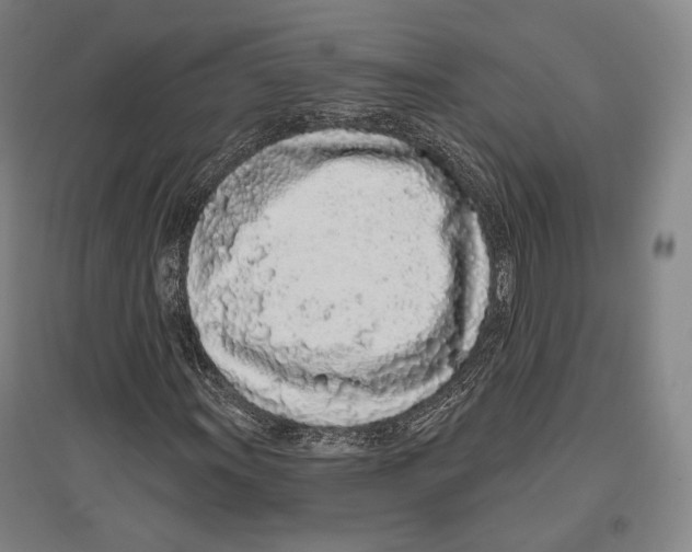 X0000096631011200803041059
