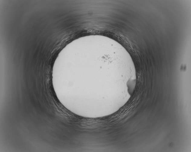 X0000096631012200803041059
