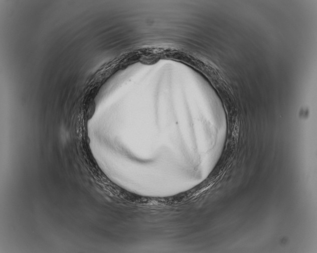 X0000096631014200803041059