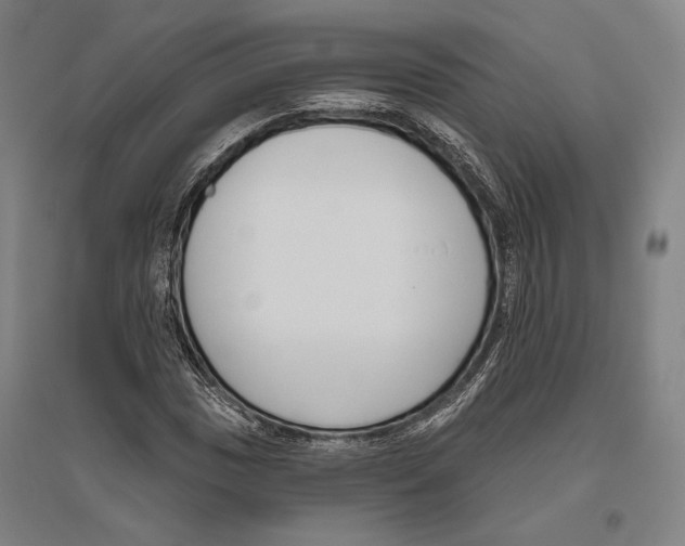 X0000096631017200803041059