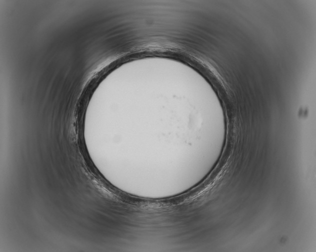 X0000096631018200803041059