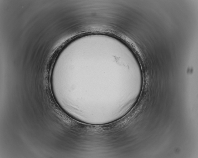 X0000096631019200803041059