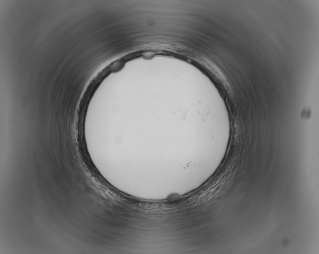 X0000096631020200803041059