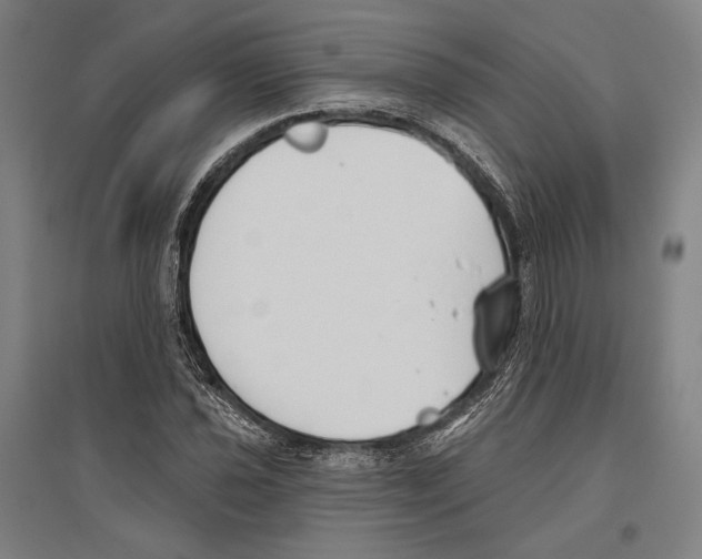 X0000096631021200803041059