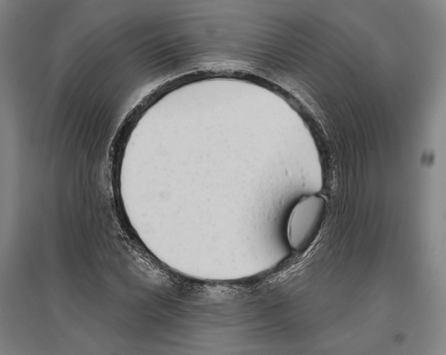 X0000096631022200803041059