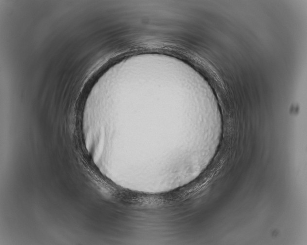 X0000096631023200803041059