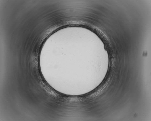 X0000096631025200803041059