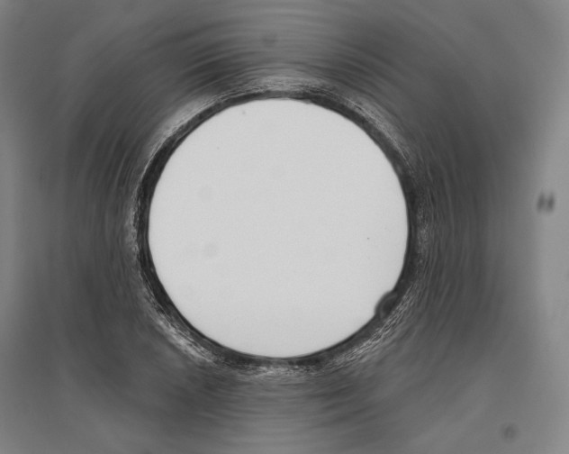 X0000096631026200803041059