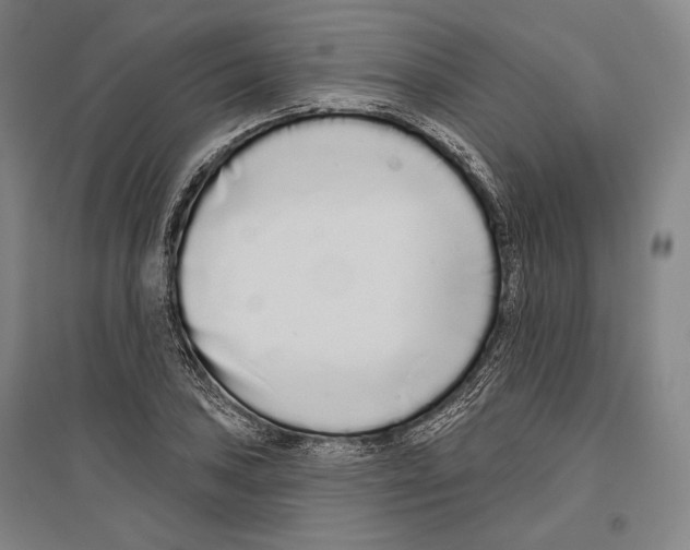 X0000096631027200803041059