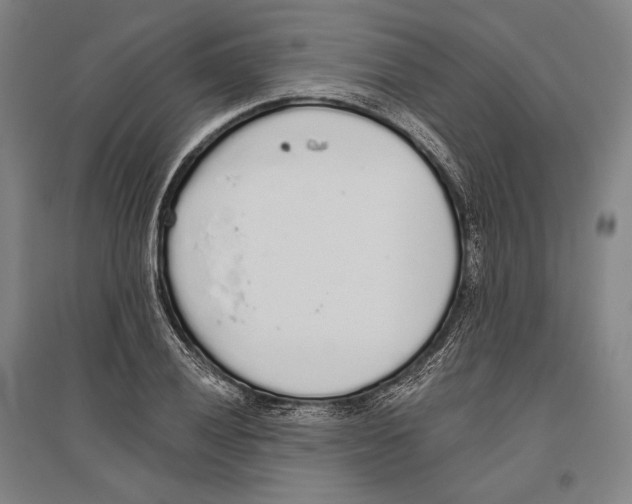 X0000096631028200803041100