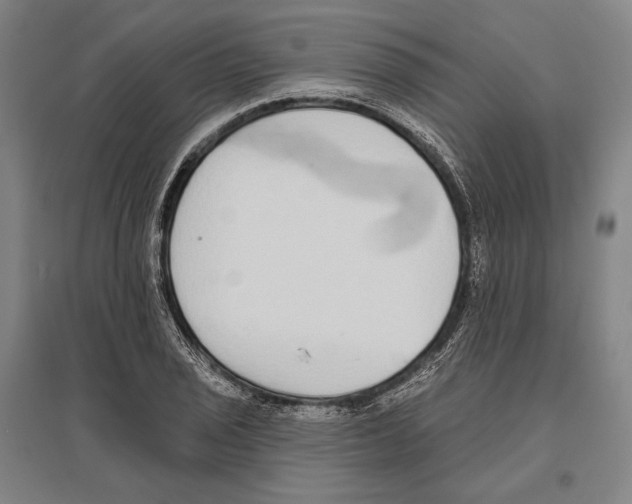 X0000096631029200803041100