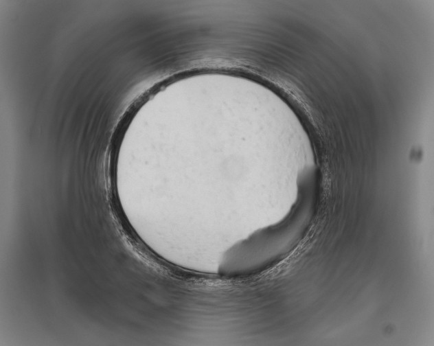 X0000096631030200803041100
