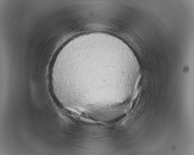 X0000096631031200803041100