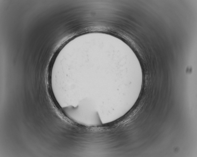 X0000096631034200803041100