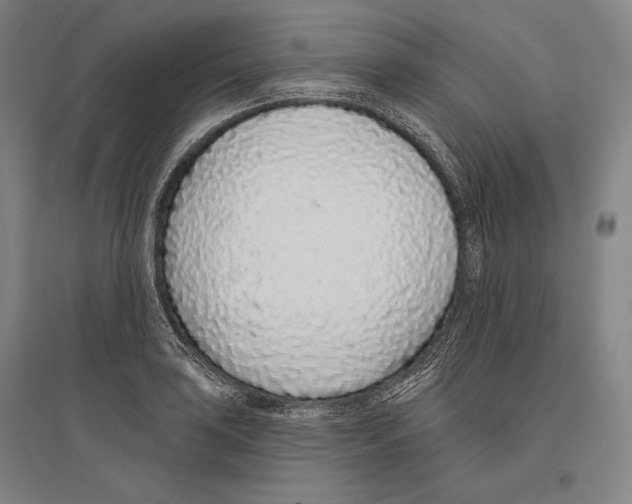 X0000096631035200803041100