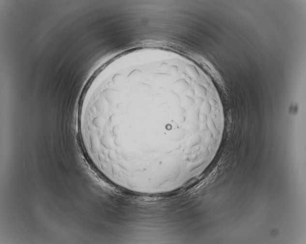 X0000096631036200803041100