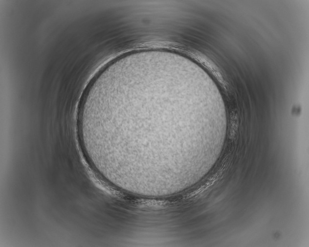 X0000096631039200803041100