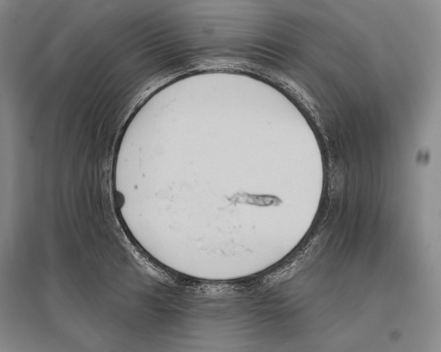 X0000096631041200803041100