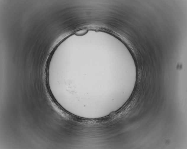 X0000096631042200803041100