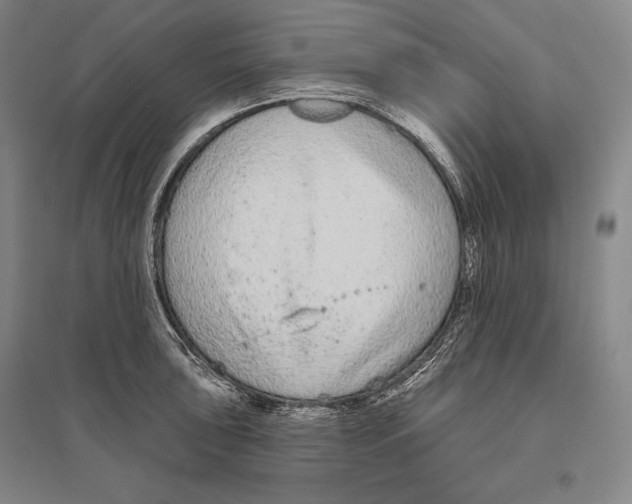X0000096631043200803041100