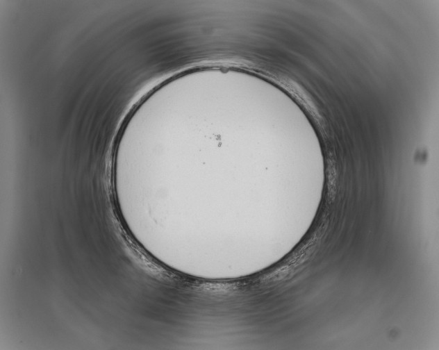 X0000096631044200803041100