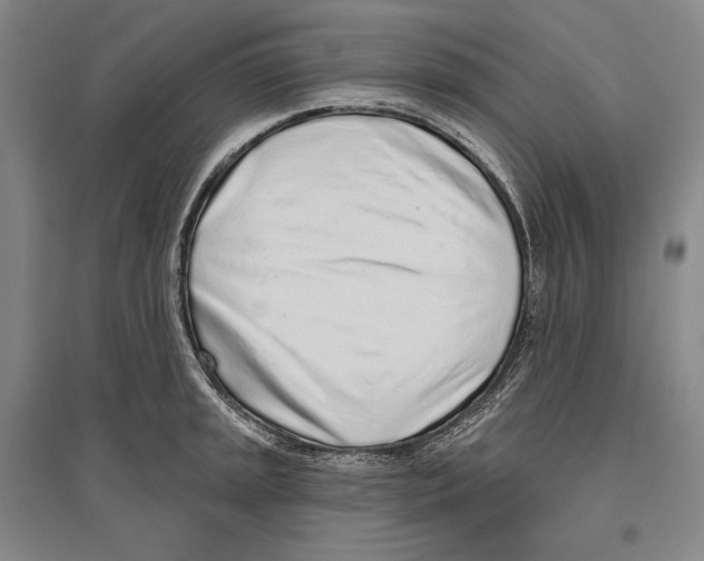 X0000096631045200803041100