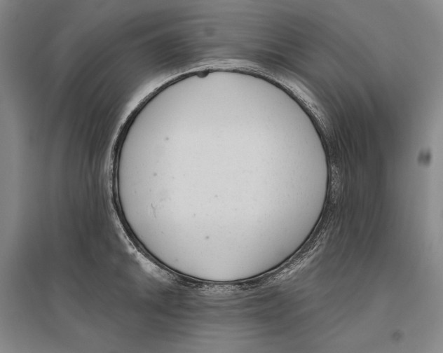 X0000096631046200803041100