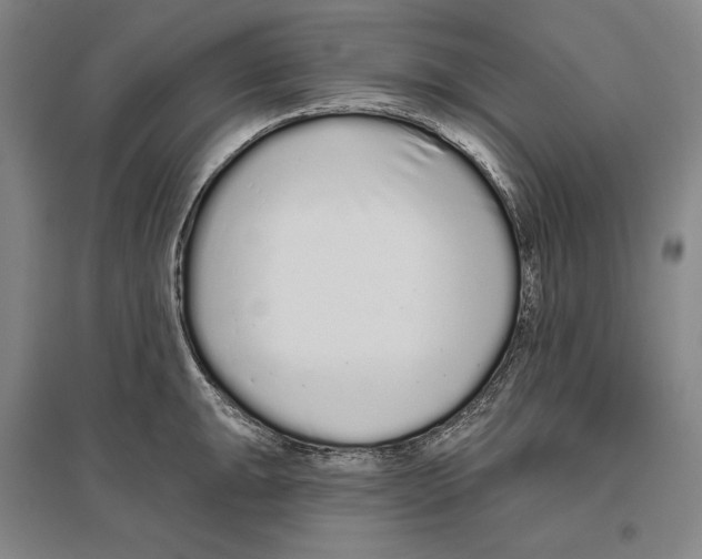 X0000096631047200803041100