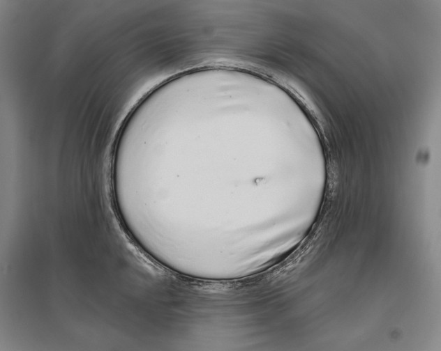 X0000096631048200803041100