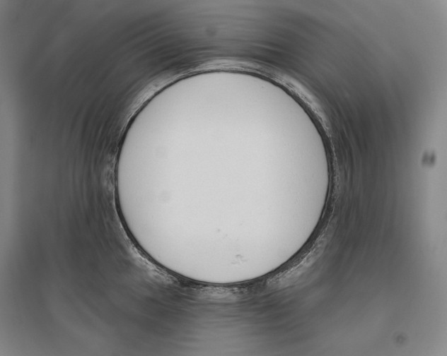 X0000096631049200803041100