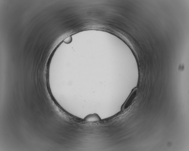 X0000096631050200803041100