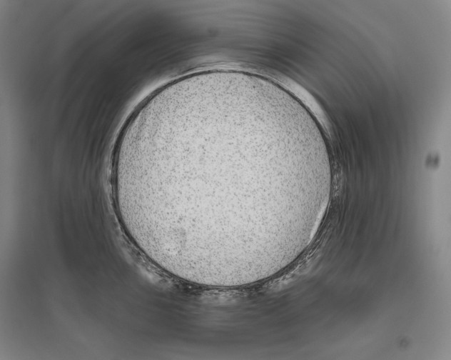 X0000096631051200803041100