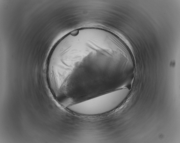 X0000096631053200803041100