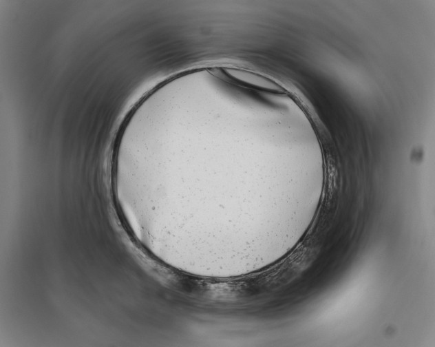 X0000096631054200803041100